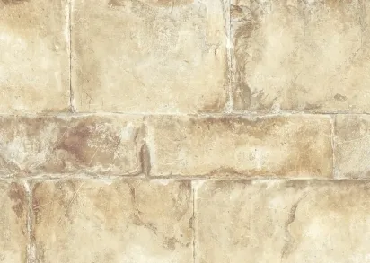 Обои Mayflower Solaris WMAFJ060129