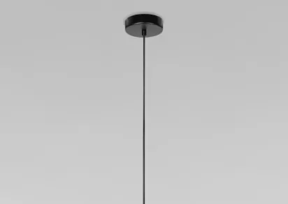 Подвесная люстра Loft IT Petale 10256P Black