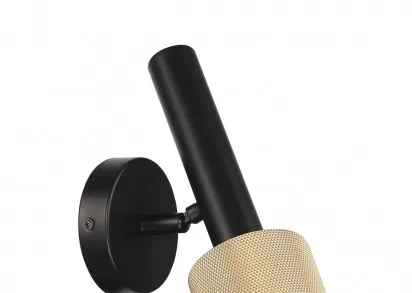 Спот iLedex Delta 2360-1 BK+BR