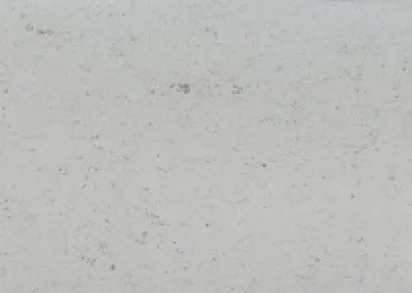 Gerflor Colorette 0052 Oxid Grey ()