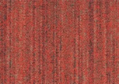 TecSom 3550 Linear vision 94