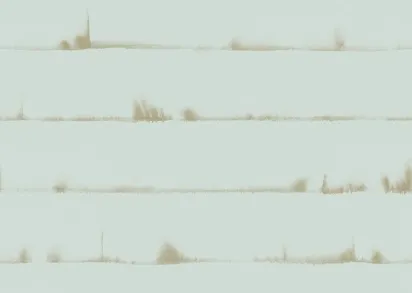 Обои Mayflower Solaris WMAFJ040126