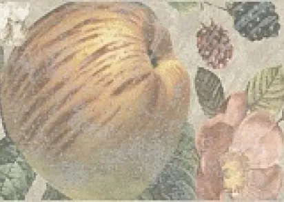 Плитка HGD/A247/15000 Пикарди Сад бордюр 40*7.2