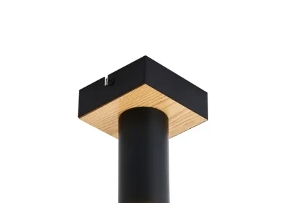 Потолочный светильник F-Promo Olson 4431-1C