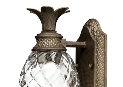 Бра Hinkley HK/Plant/Bath PZ