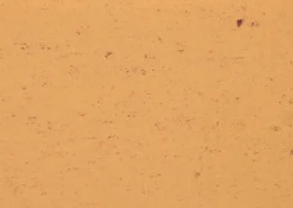 Gerflor Colorette 0073 Sand Yellow ()