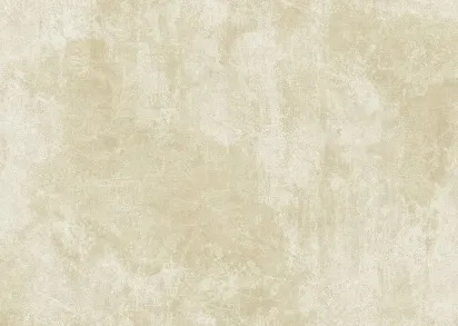 Обои Casa Mia Titanium RM40905