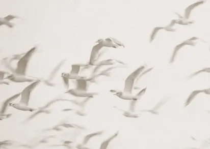 Обои Aura Panorama V101-1-C