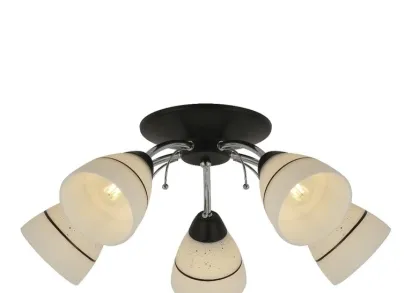Потолочная люстра Toplight Winnifred TL1255D-05BC