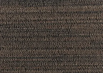 TecSom 3550 Linear vision 47