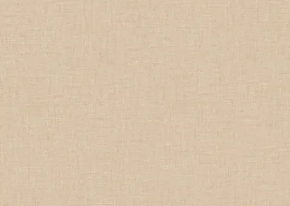 Обои A.S. Creation Versace IV 96233-2