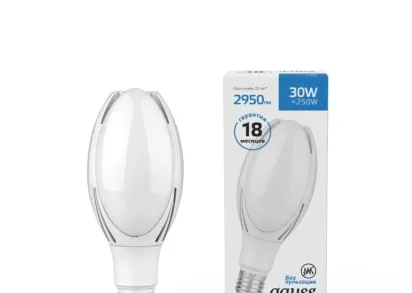 Лампа светодиодная Gauss E40 30W 6500К матовая 11834332