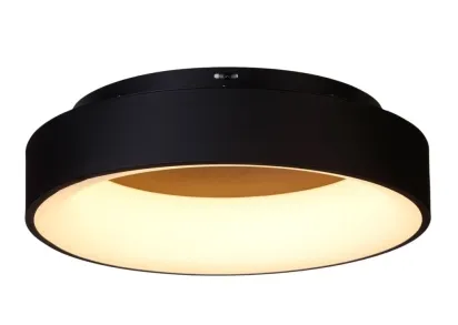 Потолочный светодиодный светильник MyFar Shannon MR2193-1PL