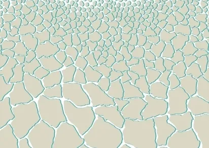 Обои Roberto Cavalli Home 5 RC16229