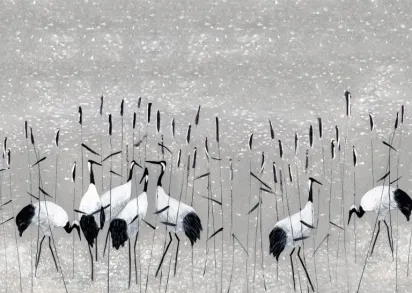 Обои Aura Panorama V104-1-C