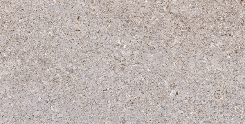 Плитка TP3625A Алькон светло-серый ректификат 30x60