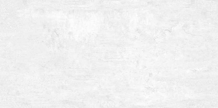 Плитка WT9BTN00 Beton Gray 24.9х50